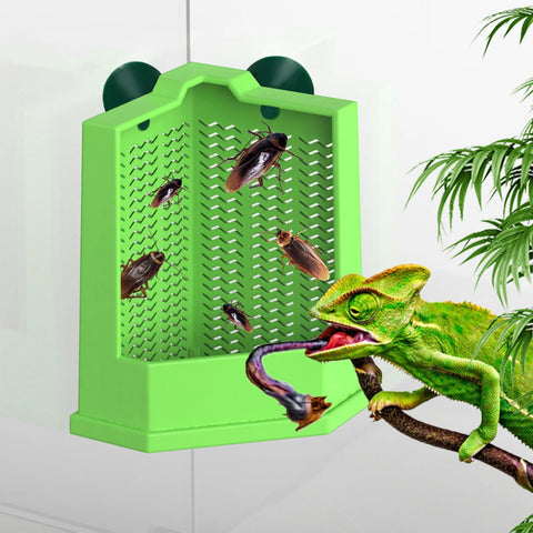 Cockroach Climbing Feeder, PP Material, Anti-escape Design, Suction Cups, Suitable for Lizards and Chameleons