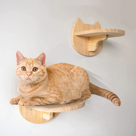 Cat Wall Climbing Shelf Four Step Stairway Scratching Post Bed Hiding House For Indoor Cats Tree Tower Pet Furniture Accessories