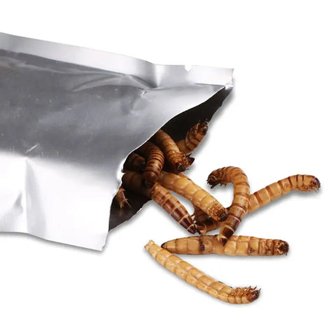 SUNSUN 140g Natural Dried Mealworm Food Meal For Feeding Pet Reptile Chickens Wild Garden Bird Aquarium Worm