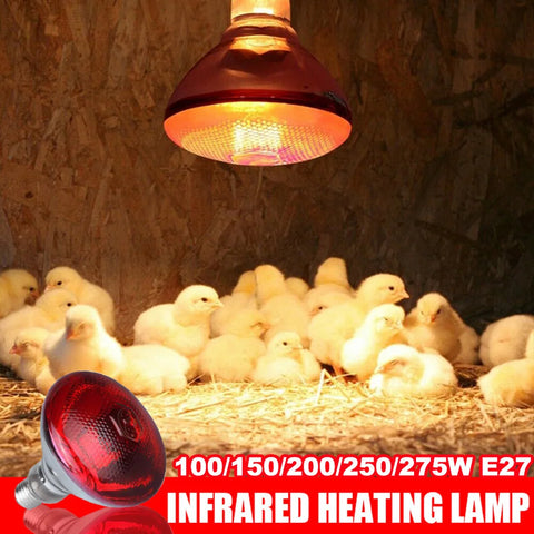 1PC Poultry Infrared Heat Lamp Waterproof Anti-Explosion Thickened Light Bulbs For Piglet Chicken Duck Birds E27 Heating Lamp