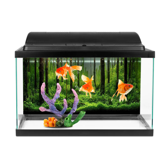 Fish  Background Paper PVC Adhesive Underwater Forest  Background Poster Backdrop Decoration Paper Fish  Decor Paper