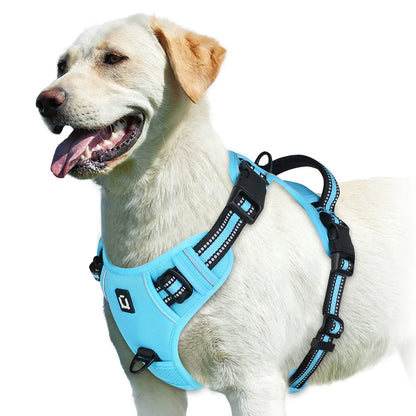 Soft Padded No-Pull Dog Harness with Easy-Grip Handle and Adjustable Straps for Sizes
