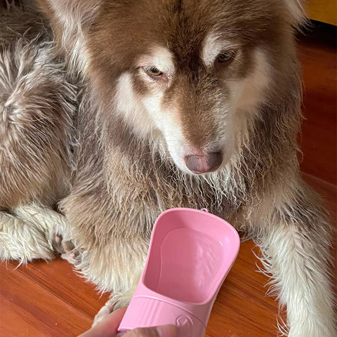 Portable Dog Water Bottle With Food Container Travel 2 in 1 Pet Water Dispenser For Small Large Dogs Cat Labrodor Drinking Bowls