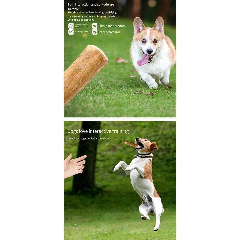 FZCSPEED Coffee Wooden Dog Chew Toy, Dog Wooden Chew Stick, for Tooth Pressure Relief, Toys