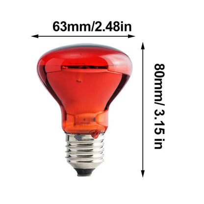 Pet Heating Lamp UVA Day Night Amphibian Amphibian Snake Lamp Heat Reptile Bulb Light Heat Reptile Bulb 25/50/75/100W 220-240V