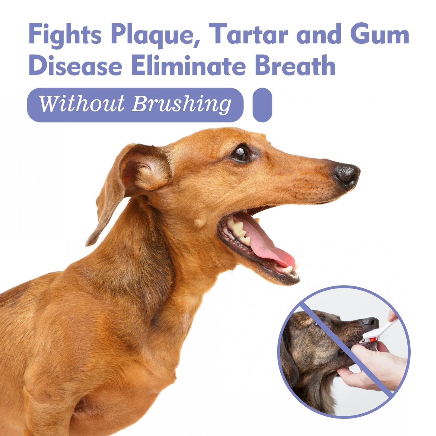 Pet Dental Spray for Dogs and Cats Freshen Breath Remove Plaque Tartar Oral Care Water Additive Easy Use 30ml No Brush Needed