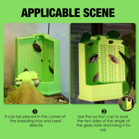 Cockroach Climbing Feeder, PP Material, Anti-escape Design, Suction Cups, Suitable for Lizards and Chameleons