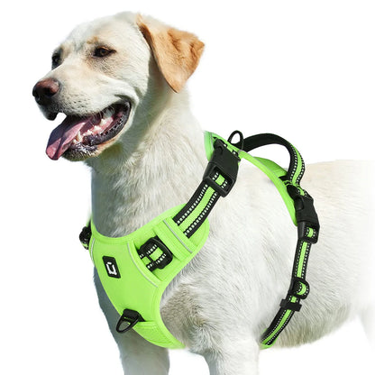 Soft Padded No-Pull Dog Harness with Easy-Grip Handle and Adjustable Straps for Sizes
