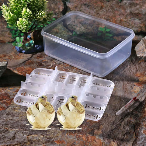 16 Grids DIY Hatch Box Snake Lizard Reptile Egg Tray Boxes Hatching Eggs Device Climbing Pet Tortoise Turtle Incubator Supplies