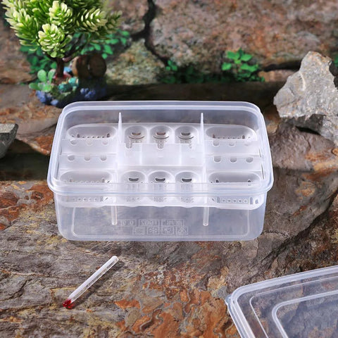 16 Grids DIY Hatch Box Snake Lizard Reptile Egg Tray Boxes Hatching Eggs Device Climbing Pet Tortoise Turtle Incubator Supplies