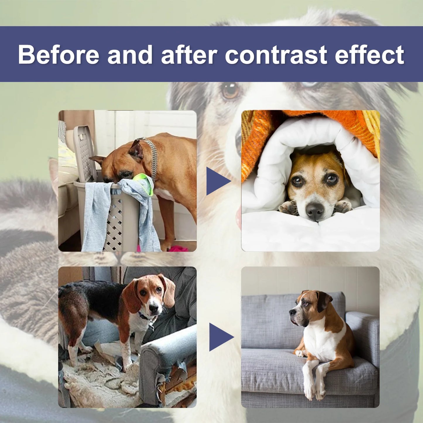 Dog Bitterness Spray Anti Chewing Scratching Sofa Chewing Preventing Stop Furniture Biting Indoor Repellent Pet No Chew Liquid