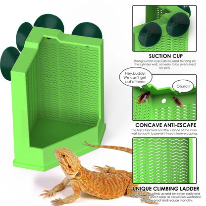 Cockroach Climbing Feeder, PP Material, Anti-escape Design, Suction Cups, Suitable for Lizards and Chameleons