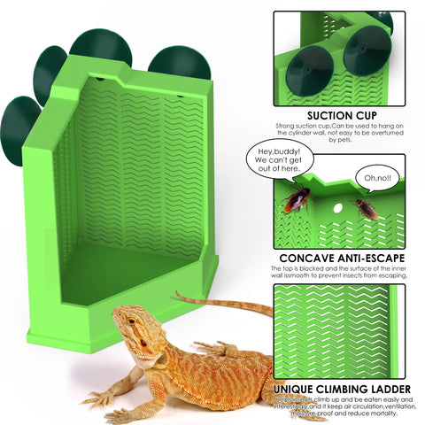 Cockroach Climbing Feeder, PP Material, Anti-escape Design, Suction Cups, Suitable for Lizards and Chameleons