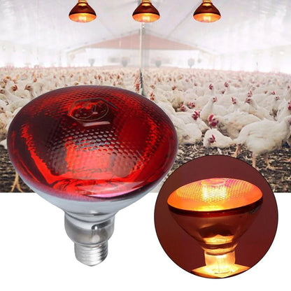 1PC Poultry Infrared Heat Lamp Waterproof Anti-Explosion Thickened Light Bulbs For Piglet Chicken Duck Birds E27 Heating Lamp