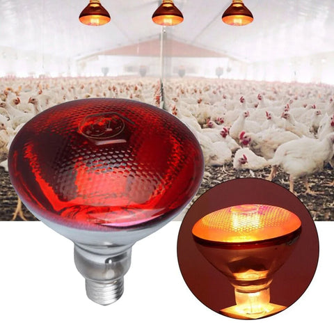 1PC Poultry Infrared Heat Lamp Waterproof Anti-Explosion Thickened Light Bulbs For Piglet Chicken Duck Birds E27 Heating Lamp
