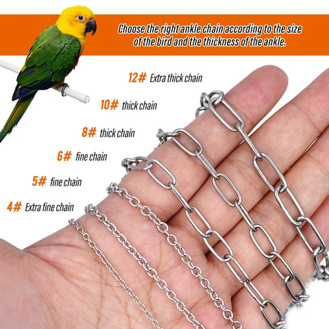 Parrot Leg Ring Ankle Foot Chain Bird Ring Outdoor Flying Training Activity Opening Stand Accessories for Small Bird  Supplies