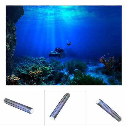 Poster for Aquarium Adhesive Seaworld Background Poster for Aquarium Fish Tank Decoration Aquarium Plants Seeds