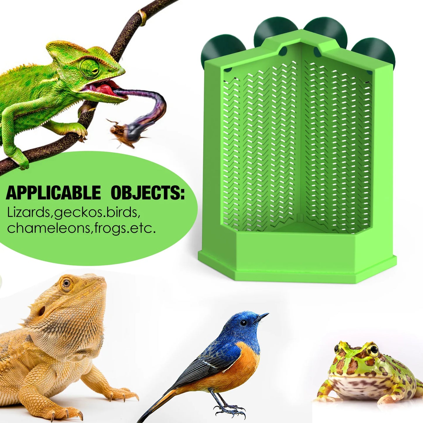 Cockroach Climbing Feeder, PP Material, Anti-escape Design, Suction Cups, Suitable for Lizards and Chameleons