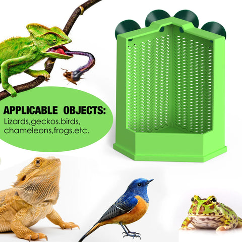 Cockroach Climbing Feeder, PP Material, Anti-escape Design, Suction Cups, Suitable for Lizards and Chameleons