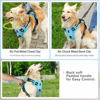 Soft Padded No-Pull Dog Harness with Easy-Grip Handle and Adjustable Straps for Sizes