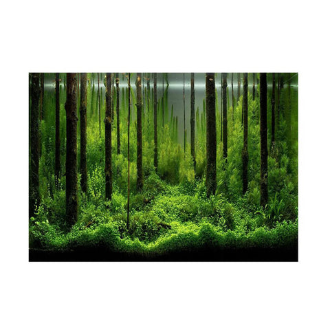 Fish  Background Paper PVC Adhesive Underwater Forest  Background Poster Backdrop Decoration Paper Fish  Decor Paper