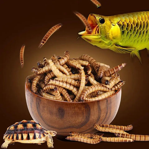 SUNSUN 140g Natural Dried Mealworm Food Meal For Feeding Pet Reptile Chickens Wild Garden Bird Aquarium Worm