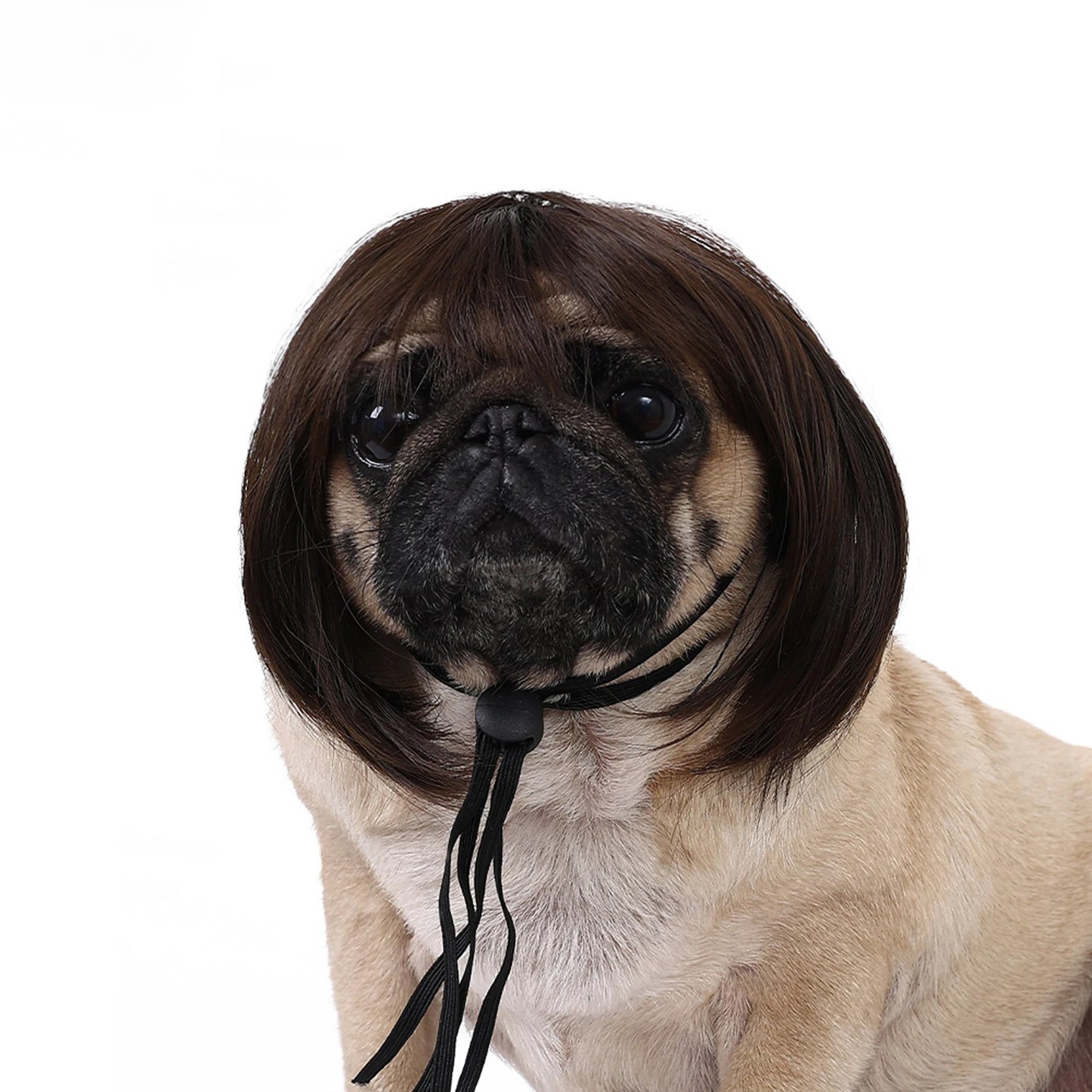 Funny Pet Cosplay Wig Short Dog Costume Wig Pet Decorations Cats Hair Hat Costumes Head Accessories Halloowen Christmas Supplies
