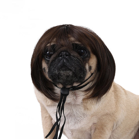 Funny Pet Cosplay Wig Short Dog Costume Wig Pet Decorations Cats Hair Hat Costumes Head Accessories Halloowen Christmas Supplies