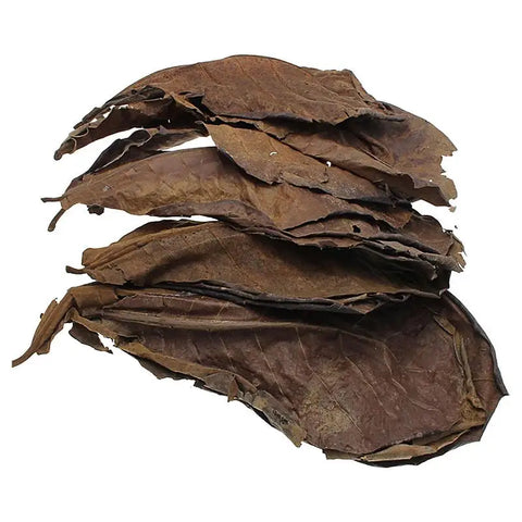 Aquarium Almond Leaves Catappa Leaves Aquarium Betta Fish Leaves Shrimp Fish Tank Accessories Creates Rainforest Environment