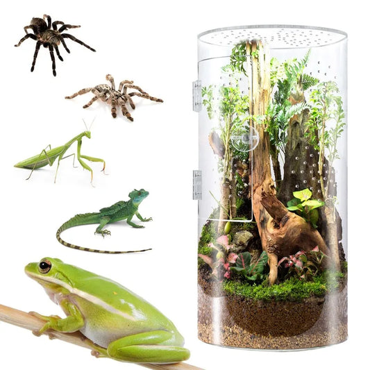 Insect Feeding Cage Spider Lizard Scorpion Arboreal Enclosure Case Acrylic Reptile Breeding Box Transparent Terrarium Habitat