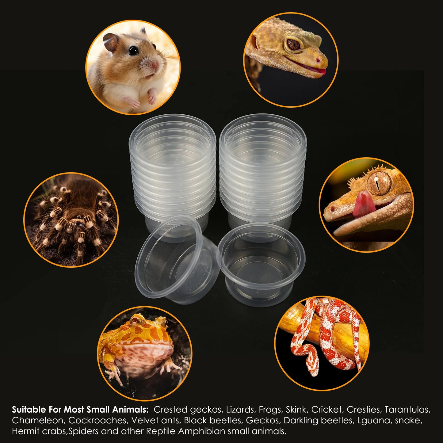 20pcs, Plastic Gecko Food and Water Feeding Cup, Reptile Feeding Bowl Replacement Bowl, Suitable for Lizards and Other Small Pet