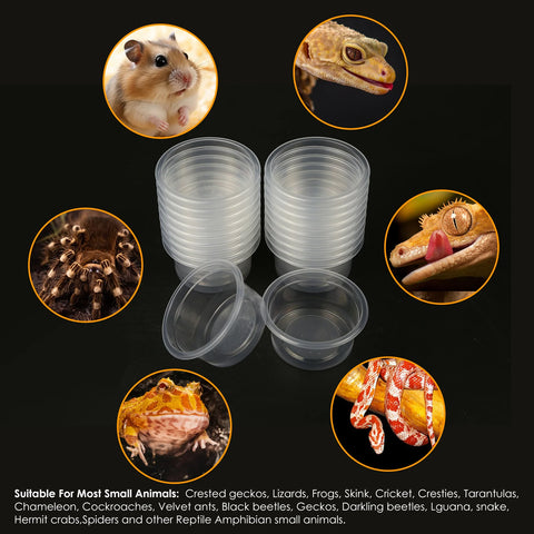 20pcs, Plastic Gecko Food and Water Feeding Cup, Reptile Feeding Bowl Replacement Bowl, Suitable for Lizards and Other Small Pet