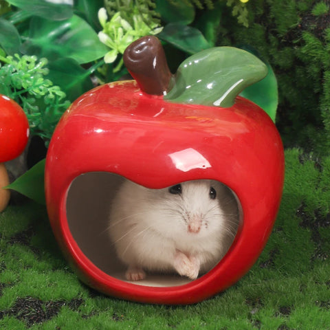 Small Animal Hideout Ceramic Hamster House Chinchilla Mini Hut Cave Cage Accessories for Dwarf Hamsters Gerbils and Hedgehog