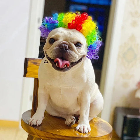 NONOR Pet Wigs Cosplay Props Funny Dogs Cats Cross-Dressing Hair Hat Costumes Head Accessories for Halloowen Christmas Supplies