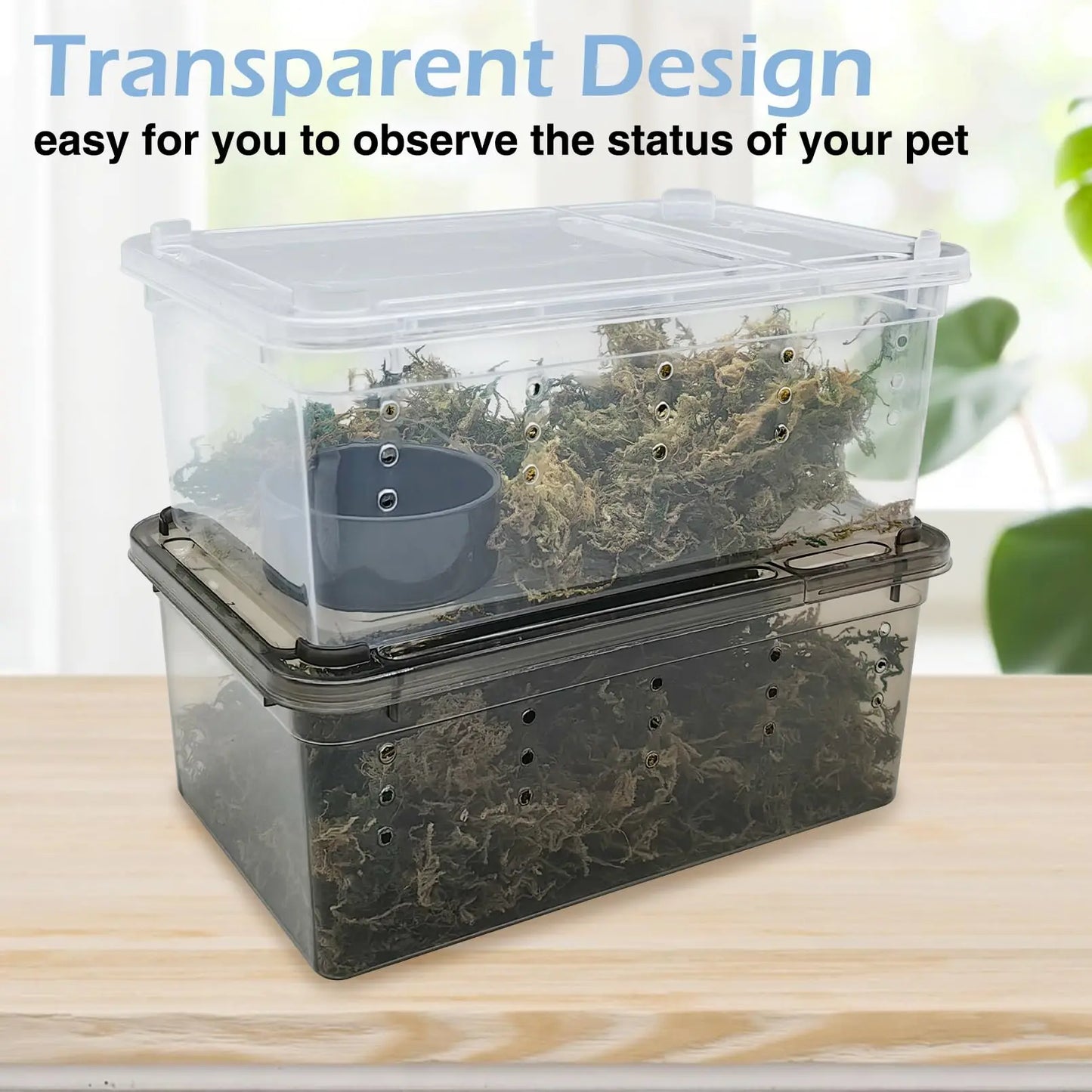 6pcs,Reptile plastic terrarium, transport container for lizards, geckos, snakes, spiders, scorpions, beetles, centipedes