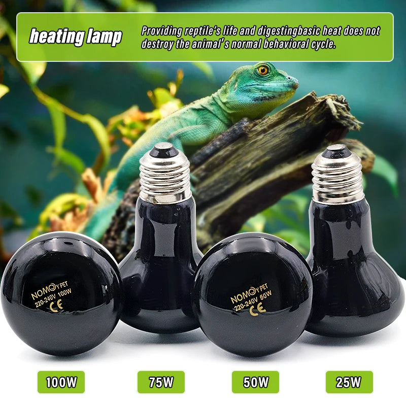 Pet Heating Lamp E27 Night Lamp For Amphibian Snake Lamp Heat Reptile Bulb UV Light 25W 50W 75W 100W AC220-240V