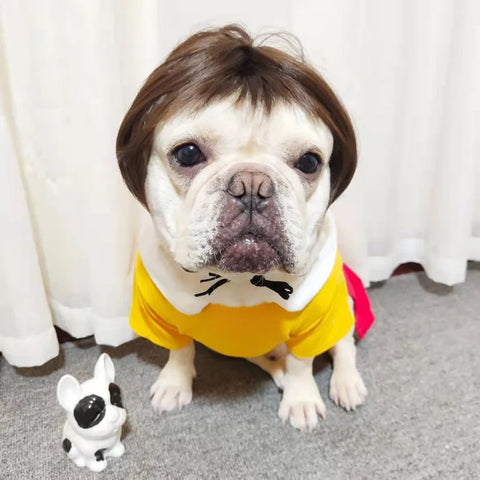 NONOR Pet Wigs Cosplay Props Funny Dogs Cats Cross-Dressing Hair Hat Costumes Head Accessories for Halloowen Christmas Supplies