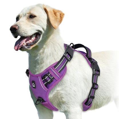 Soft Padded No-Pull Dog Harness with Easy-Grip Handle and Adjustable Straps for Sizes
