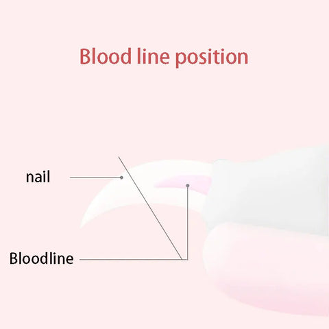 Large Dog Nail Clippers Pet Nail Clippers Nail Clippers Multifunctional Stainless Steel Grooming Scissors