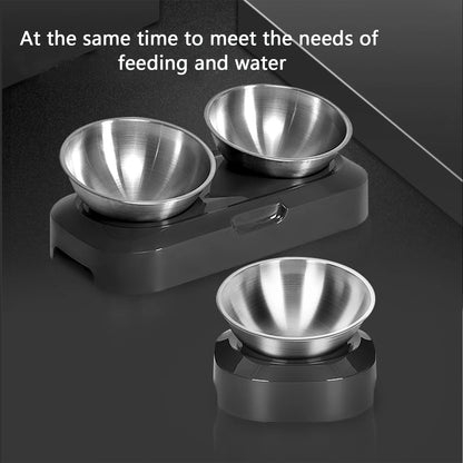 PETWAN Raised Cat Bowl Stainless Steel,Non-Slip Silicone Mat&Raised Cat Feeder with 15°&0°Tilting Neck Protective Bowl for Pets