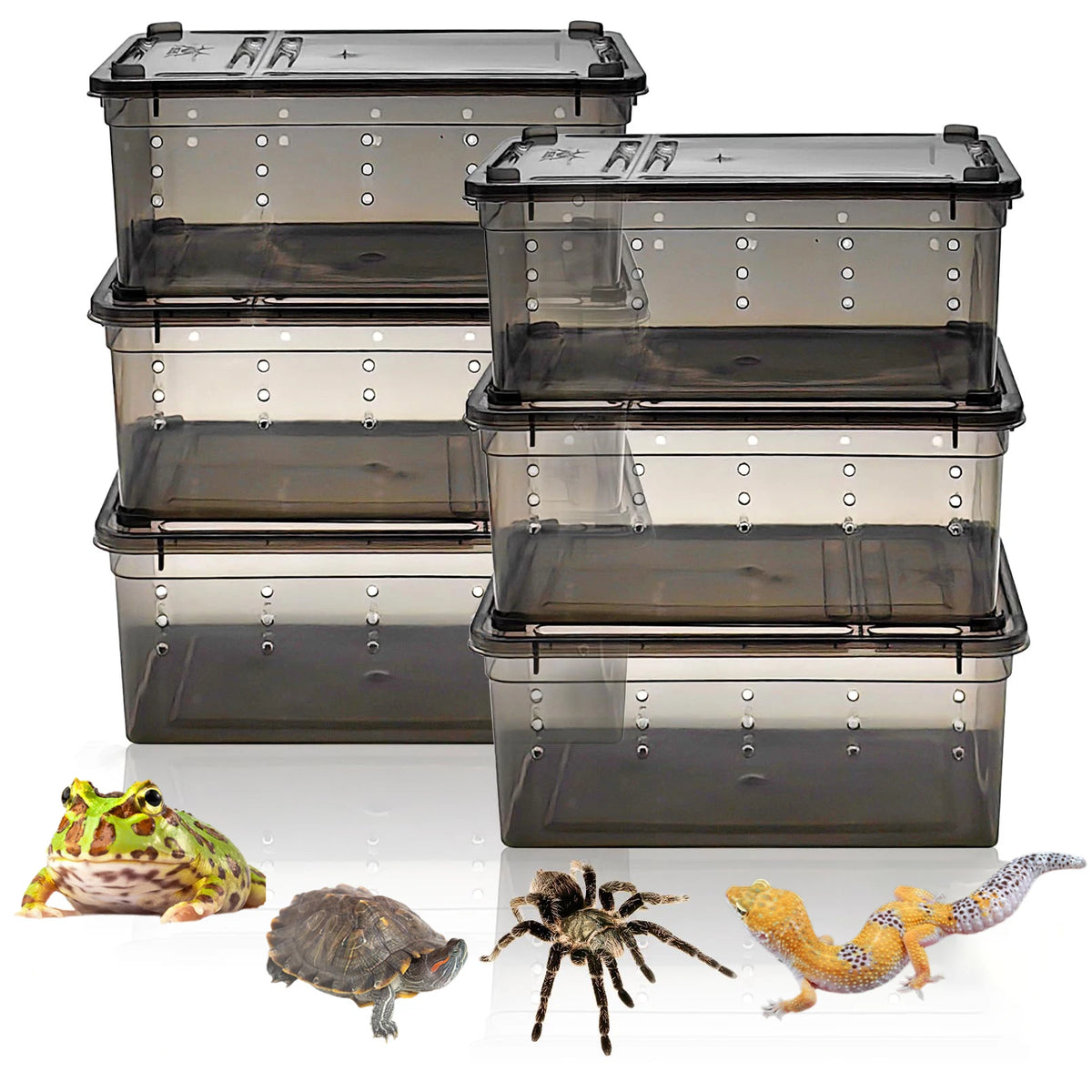 6pcs,Reptile plastic terrarium, transport container for lizards, geckos, snakes, spiders, scorpions, beetles, centipedes