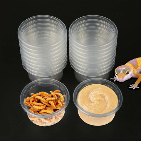 20pcs, Plastic Gecko Food and Water Feeding Cup, Reptile Feeding Bowl Replacement Bowl, Suitable for Lizards and Other Small Pet
