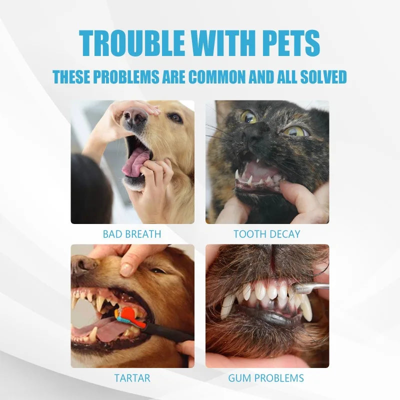 Pet Oral Care Toothpaste Edible for Cats and Dogs Removes Tartar Plaque Freshens Breath Prevents Teeth Calculus