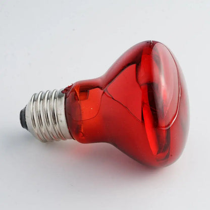 Pet Heating Lamp UVA Day Night Amphibian Amphibian Snake Lamp Heat Reptile Bulb Light Heat Reptile Bulb 25/50/75/100W 220-240V