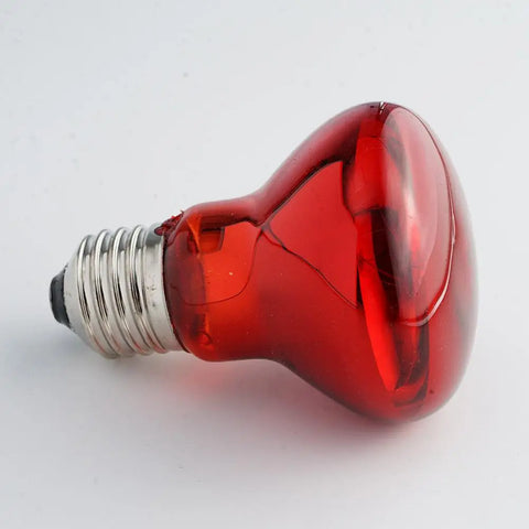 Pet Heating Lamp UVA Day Night Amphibian Amphibian Snake Lamp Heat Reptile Bulb Light Heat Reptile Bulb 25/50/75/100W 220-240V
