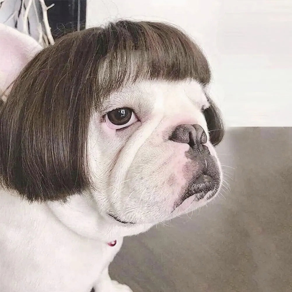 Funny Pet Cosplay Wig Short Dog Costume Wig Pet Decorations Cats Hair Hat Costumes Head Accessories Halloowen Christmas Supplies