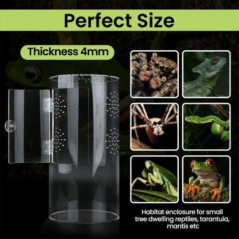 Insect Feeding Cage Spider Lizard Scorpion Arboreal Enclosure Case Acrylic Reptile Breeding Box Transparent Terrarium Habitat