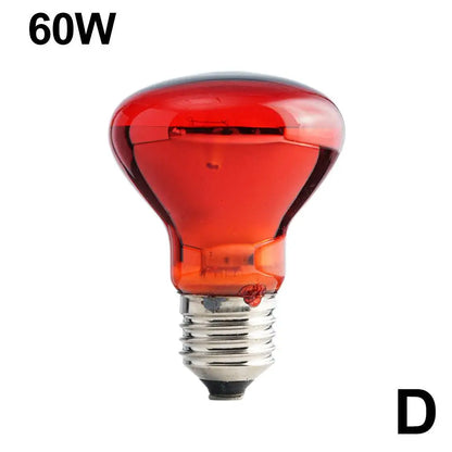 Pet Heating Lamp UVA Day Night Amphibian Amphibian Snake Lamp Heat Reptile Bulb Light Heat Reptile Bulb 25/50/75/100W 220-240V