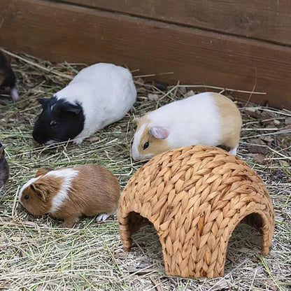 Rabbit Tunnel Safe Bunny Grass House Natural Cattail Hideout Hand Made Cattail House For Guinea Pig Hamsters Chinchilla Ferret