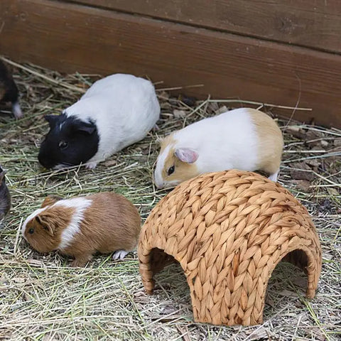 Rabbit Tunnel Safe Bunny Grass House Natural Cattail Hideout Hand Made Cattail House For Guinea Pig Hamsters Chinchilla Ferret